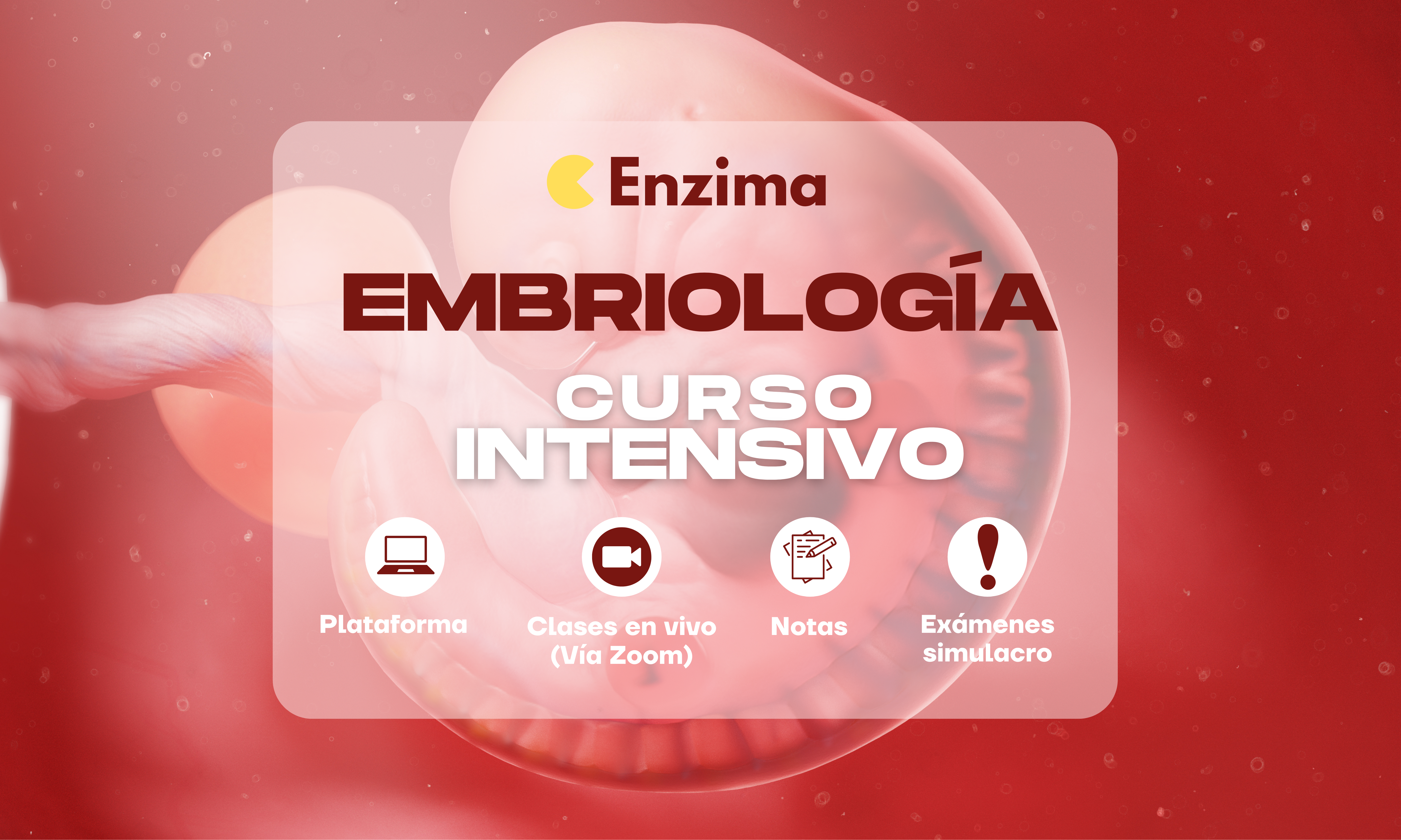 EMBRIO UANL – CURSO INTENSIVO